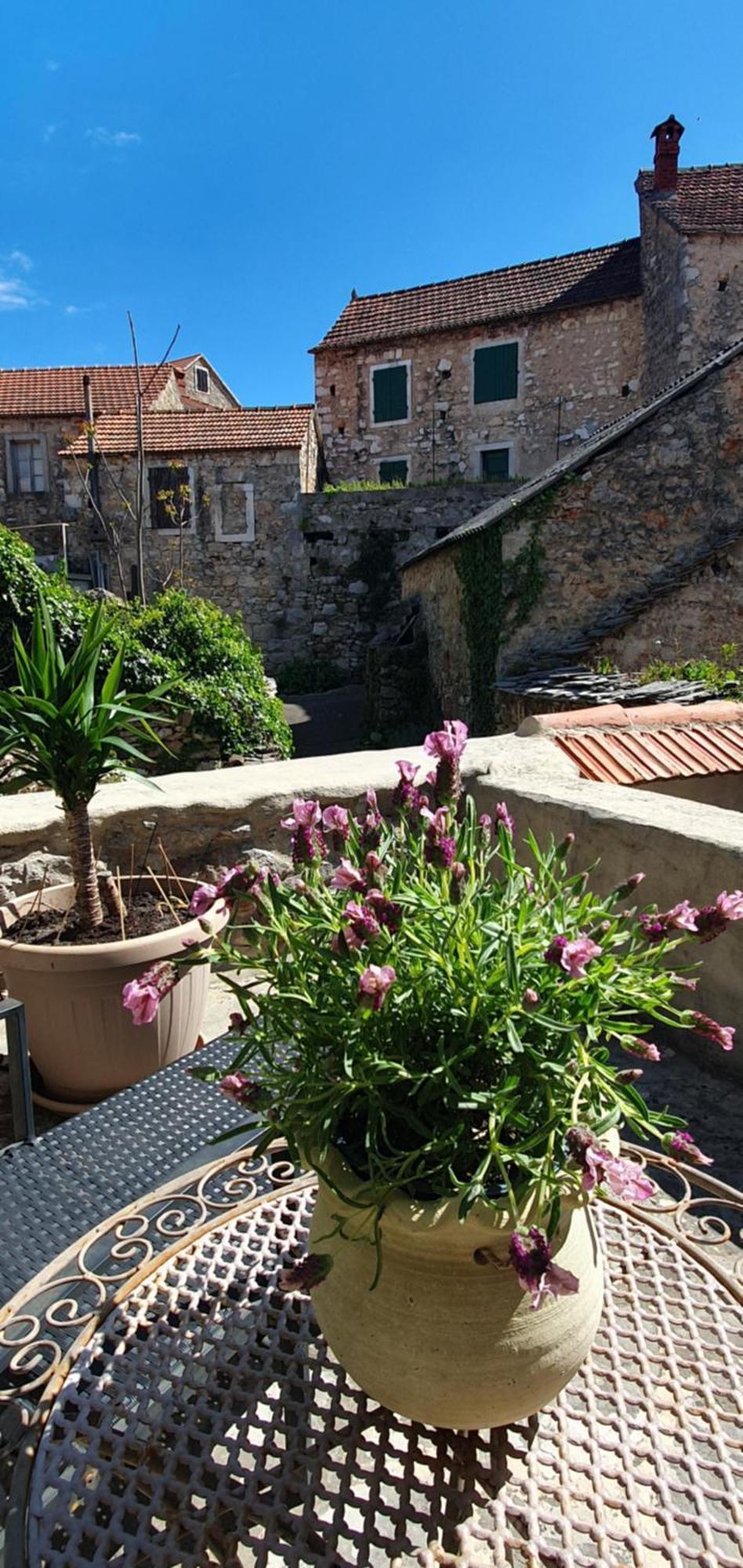 Hvar Stone With Pool
